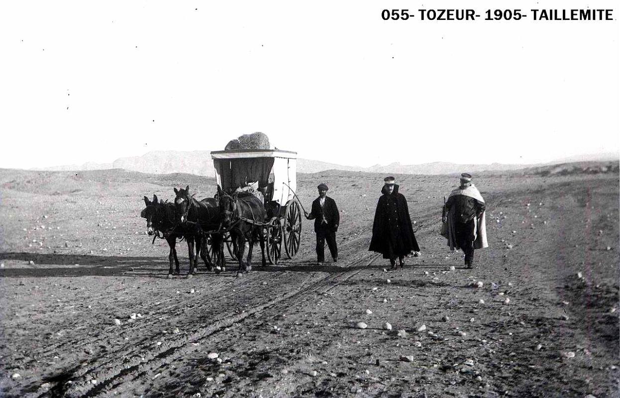 055- Tozeur- 1905- Taillemite.jpg